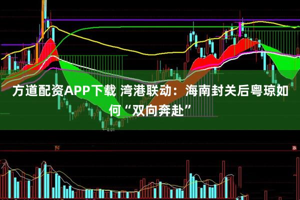 方道配资APP下载 湾港联动：海南封关后粤琼如何“双向奔赴”